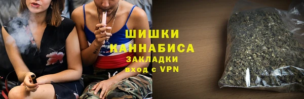 крисы Верхний Тагил