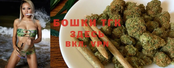 крисы Верхний Тагил