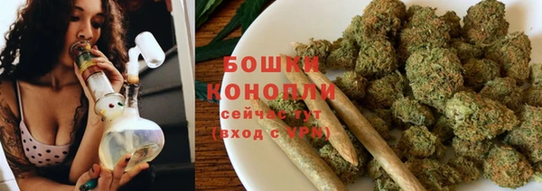 крисы Верхний Тагил