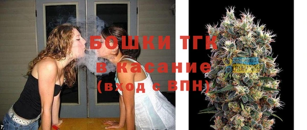 крисы Верхний Тагил