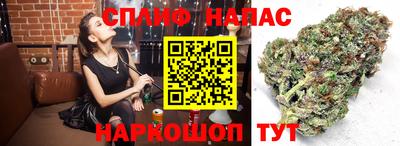гашик Кунгур