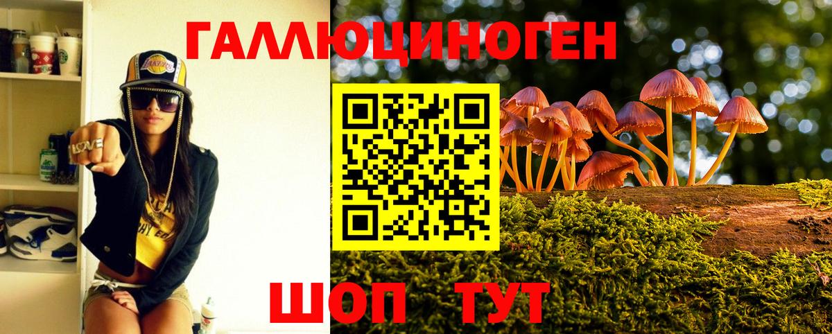 Хабаровск  Галлюциногенные грибы Psilocybine cubensis  Вход с VPN 